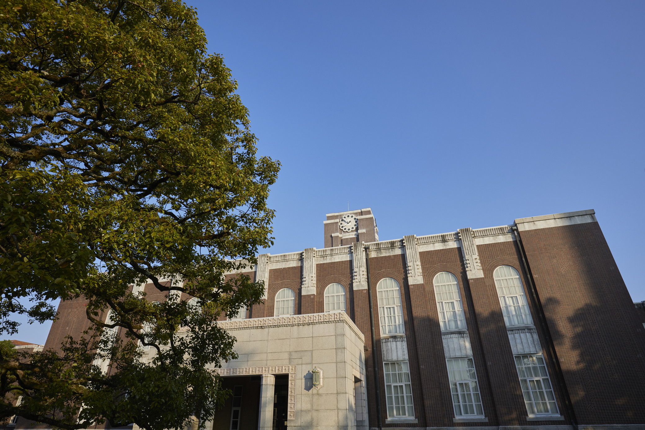 文章を入れてください