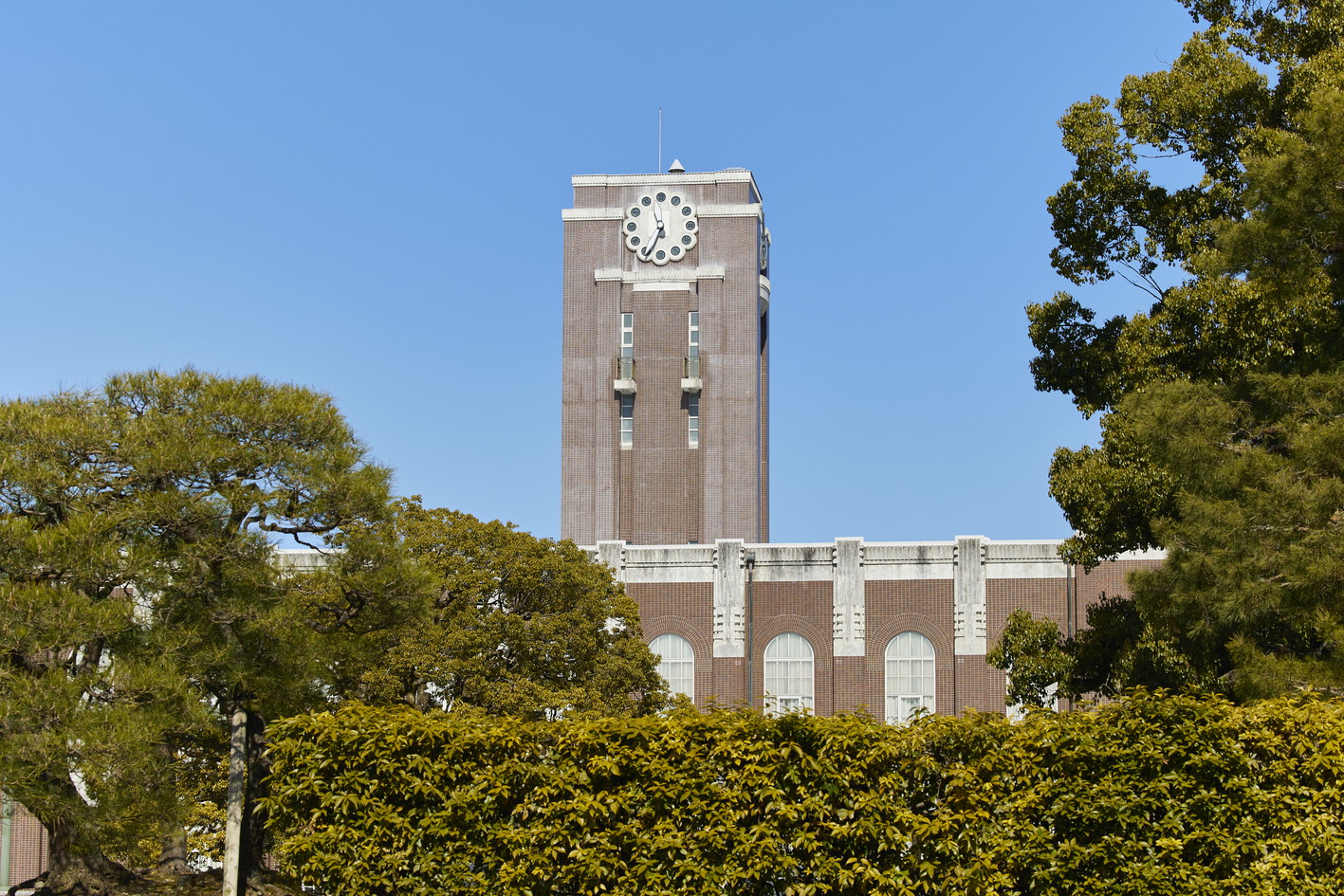 文章を入れてください