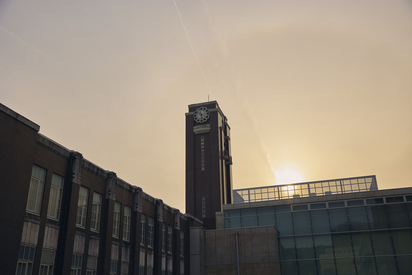 文章を入れてください