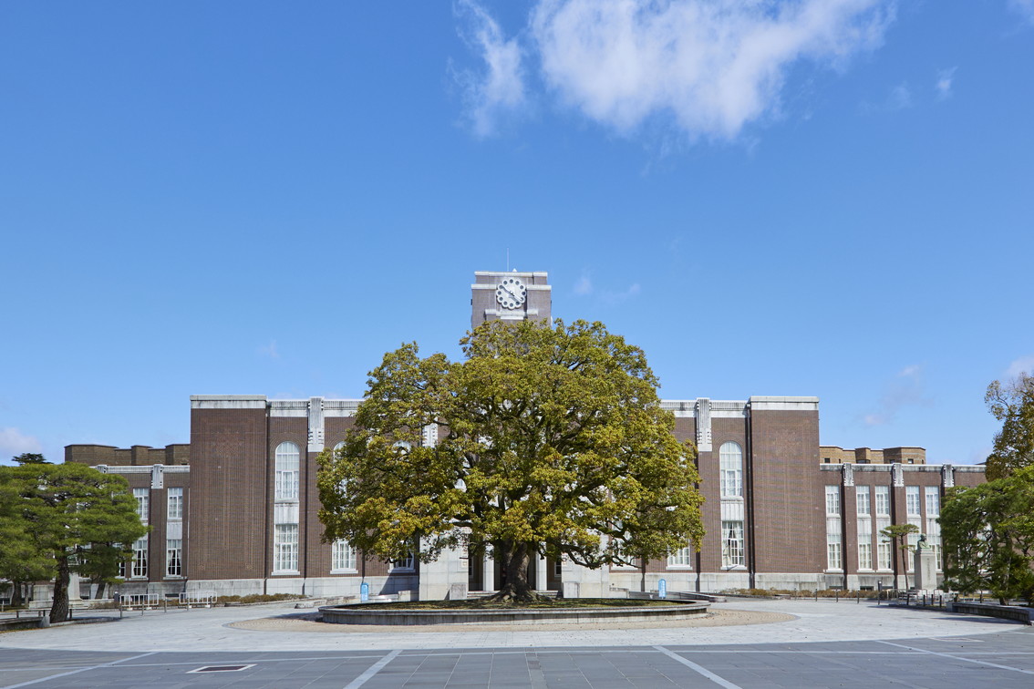 文章を入れてください