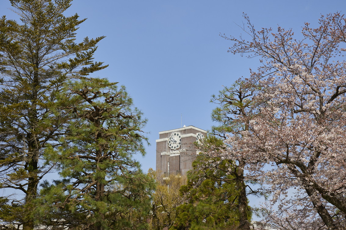 文章を入れてください