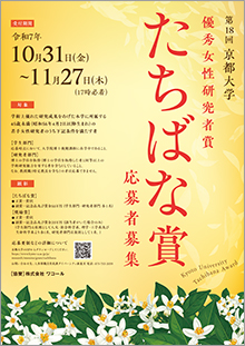 文章を入れてください