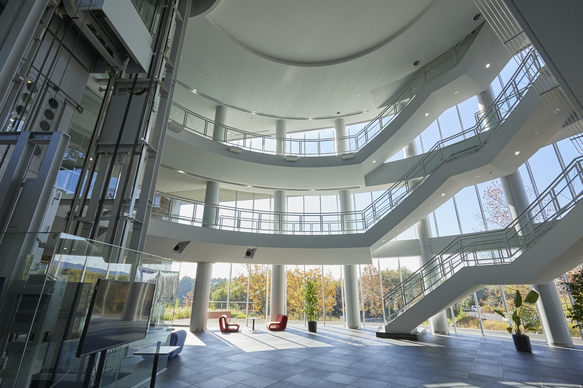 文章を入れてください