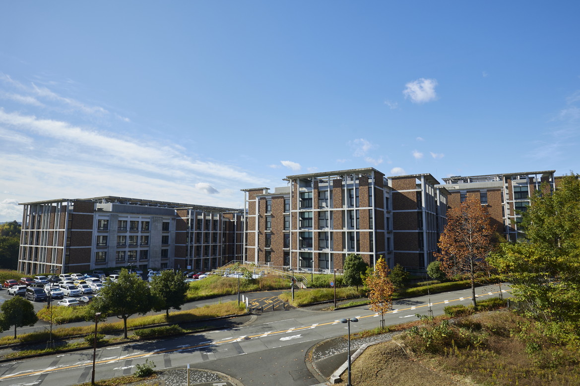 文章を入れてください