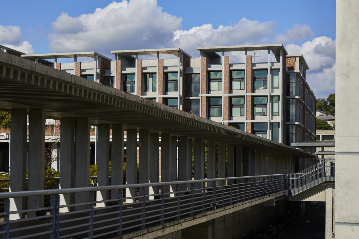 文章を入れてください