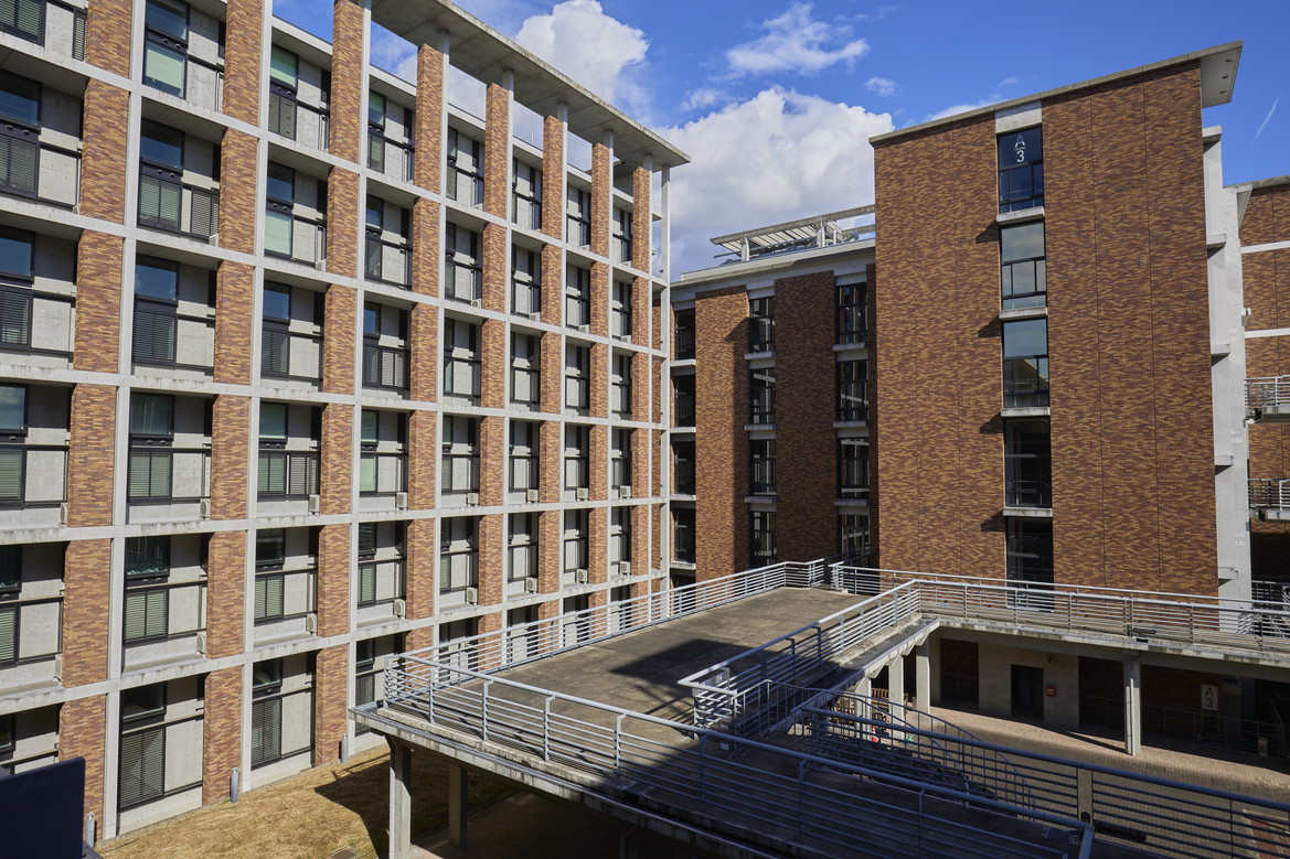 文章を入れてください