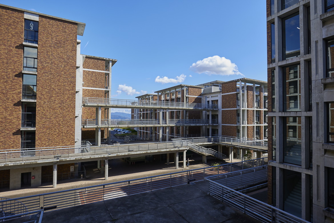 文章を入れてください