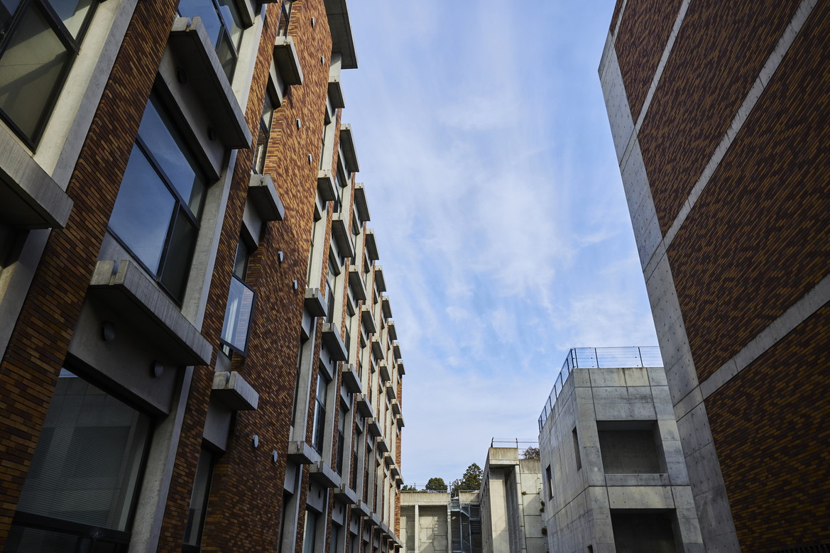 文章を入れてください