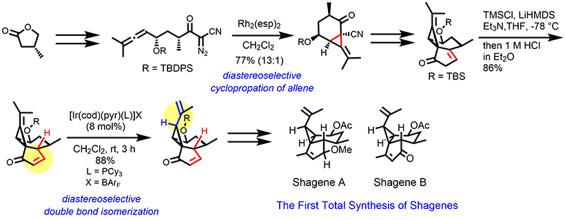 Shagene類の化学合成。Shagene類はサンゴからのみ得られる希少な有用生物活性天然物でしたが、本合成研究で、自在に分子構造を制御して、我々は手にすることができるようになりました。