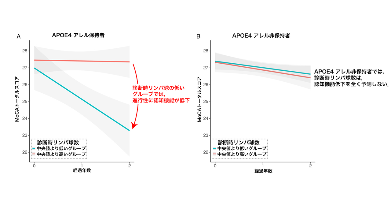 「APOE4アレル」保持者において、診断時にリンパ球数が低いと、進行性に認知機能が低下する