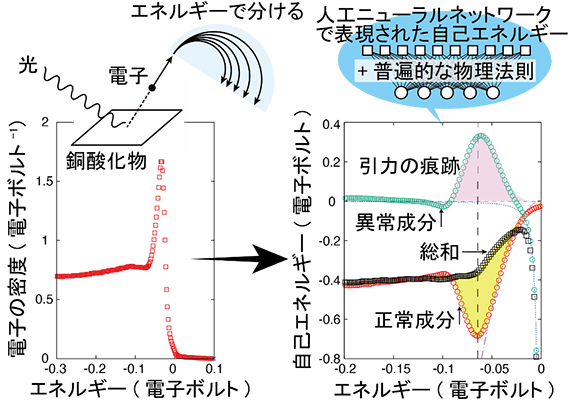 銅酸化物についての1つの光電子分光データ（左図）から、足りない情報を普遍的な物理法則で補って人工ニューラルネットワークを最適化し、自己エネルギーの2つの成分（右図）を決定