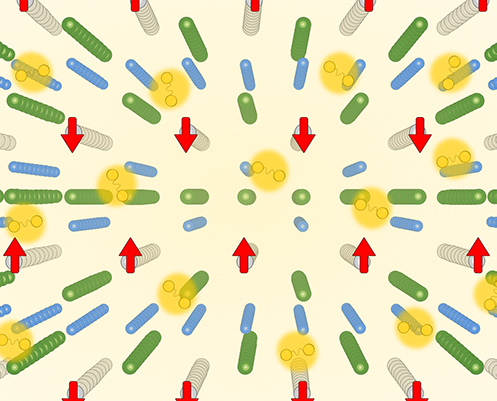 超伝導状態を背景に反強磁性が現れる「超伝導反強磁性」状態のイメージ図