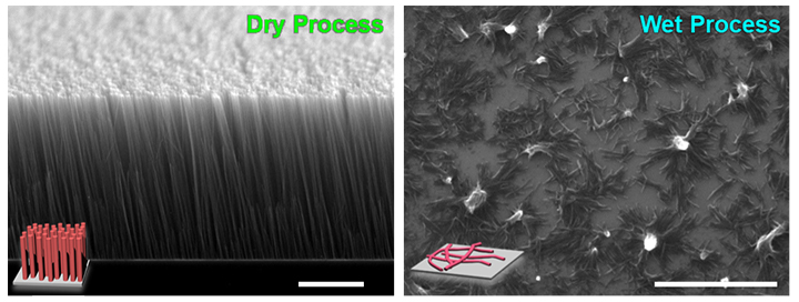 今回の手法（STLiP法～All Dry Process）によって基板上に直立して形成されたナノワイヤー
