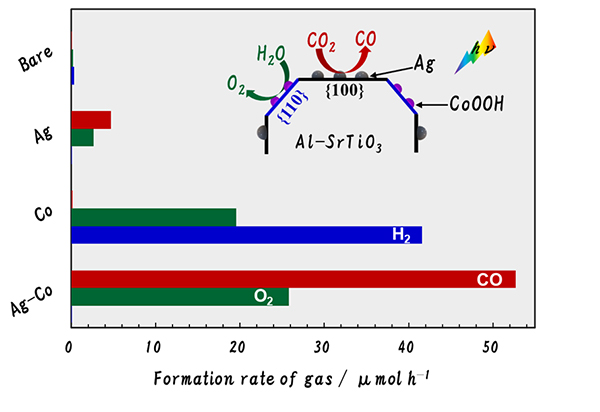 本研究の概要図
