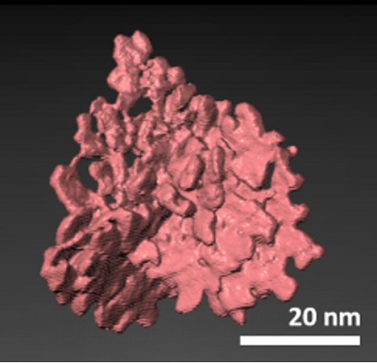 ルテニウム–イリジウム（Ru–Ir）合金電極触媒