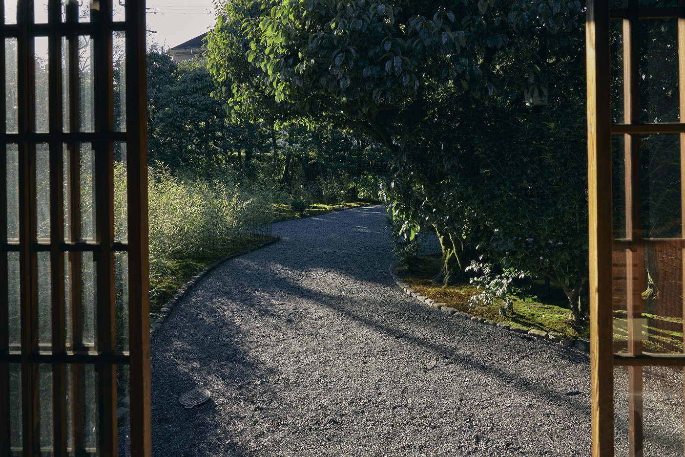 文章を入れてください