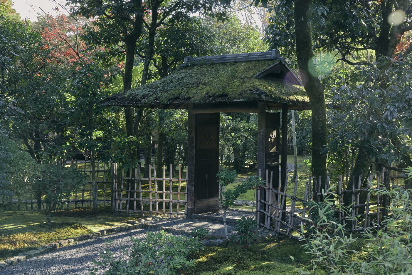 文章を入れてください