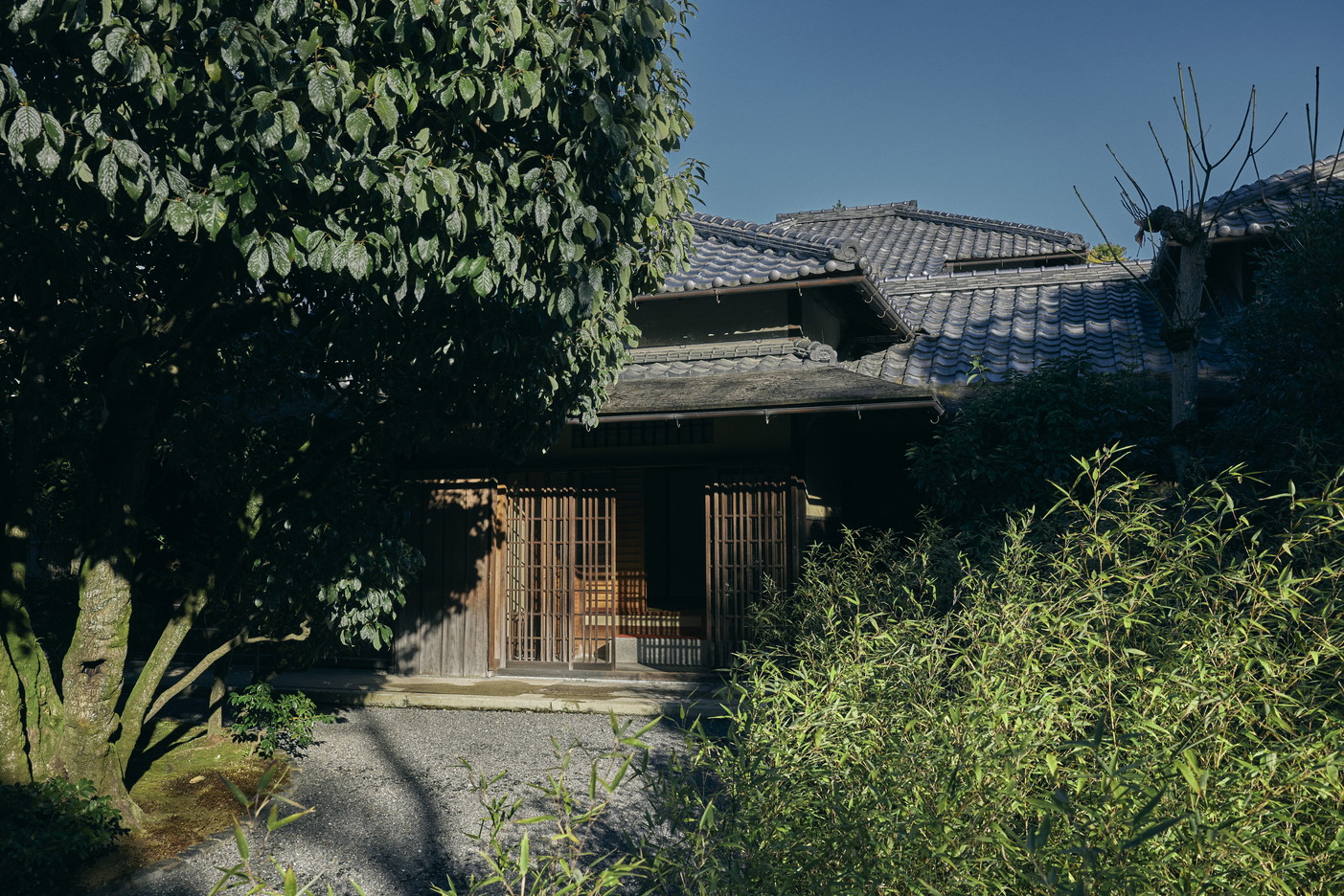 文章を入れてください