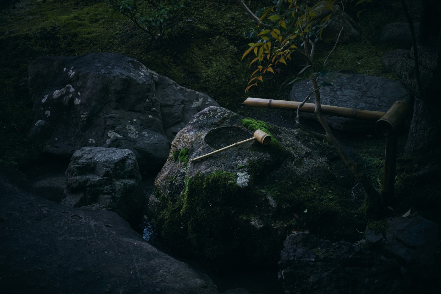 文章を入れてください