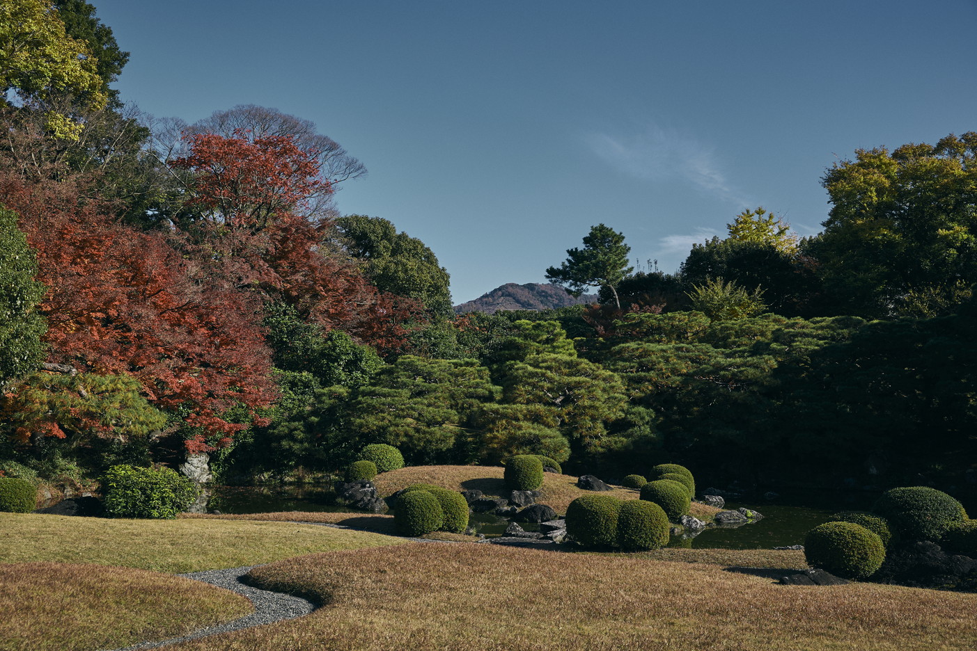 文章を入れてください