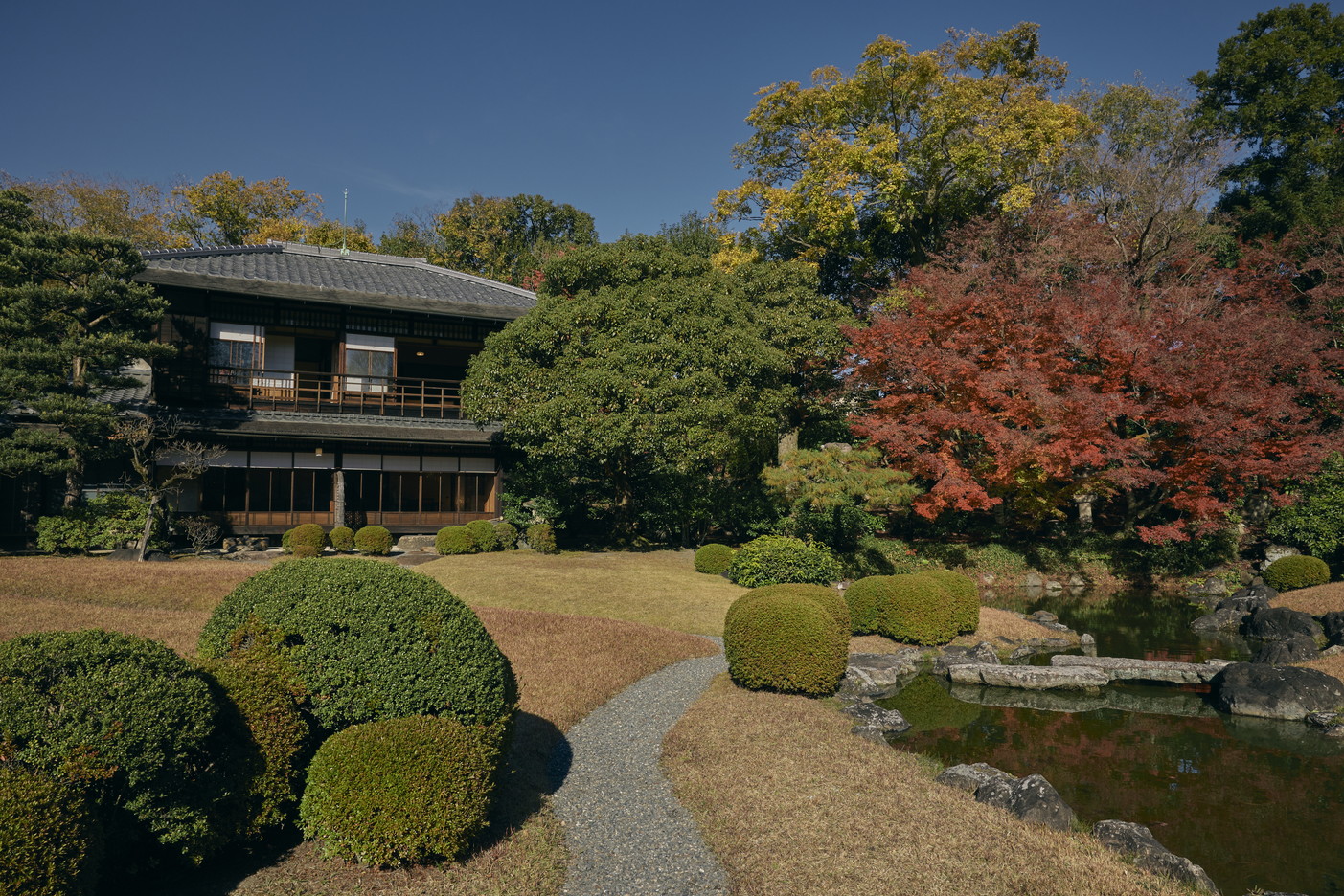 文章を入れてください