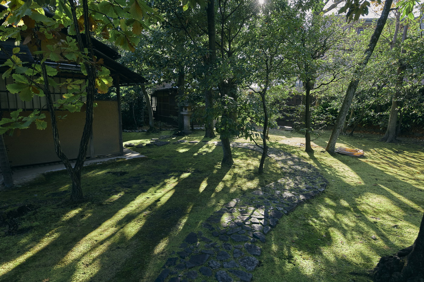 文章を入れてください