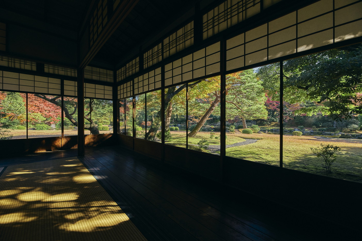 文章を入れてください