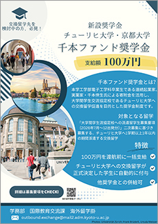 文章を入れてください