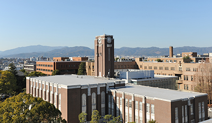 文章を入れてください