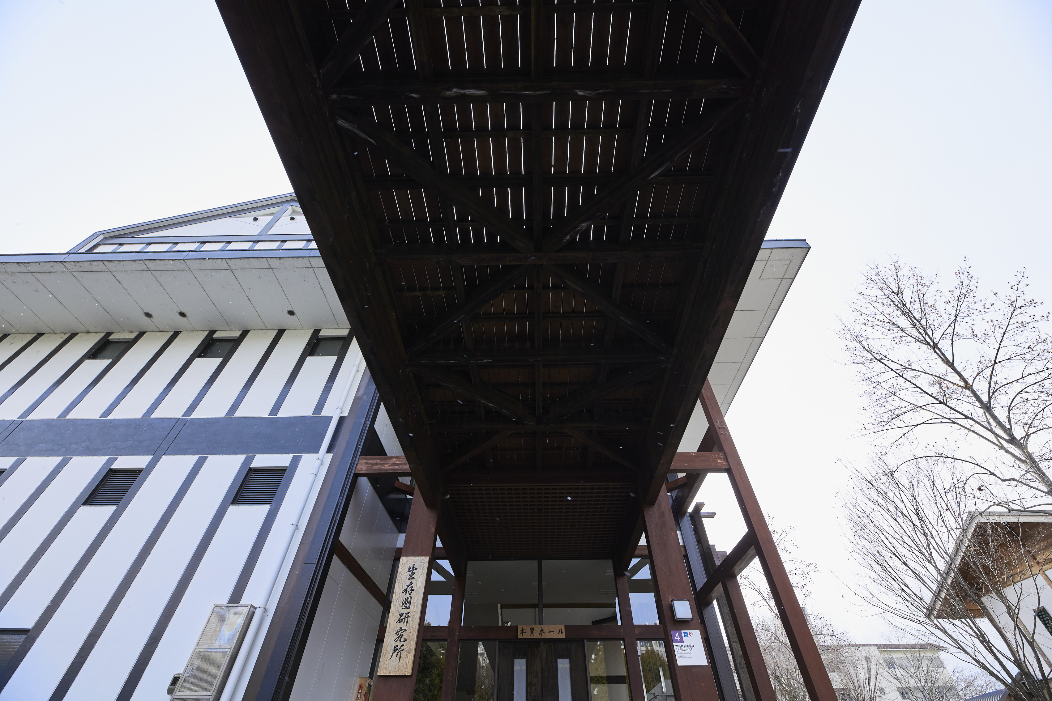 文章を入れてください