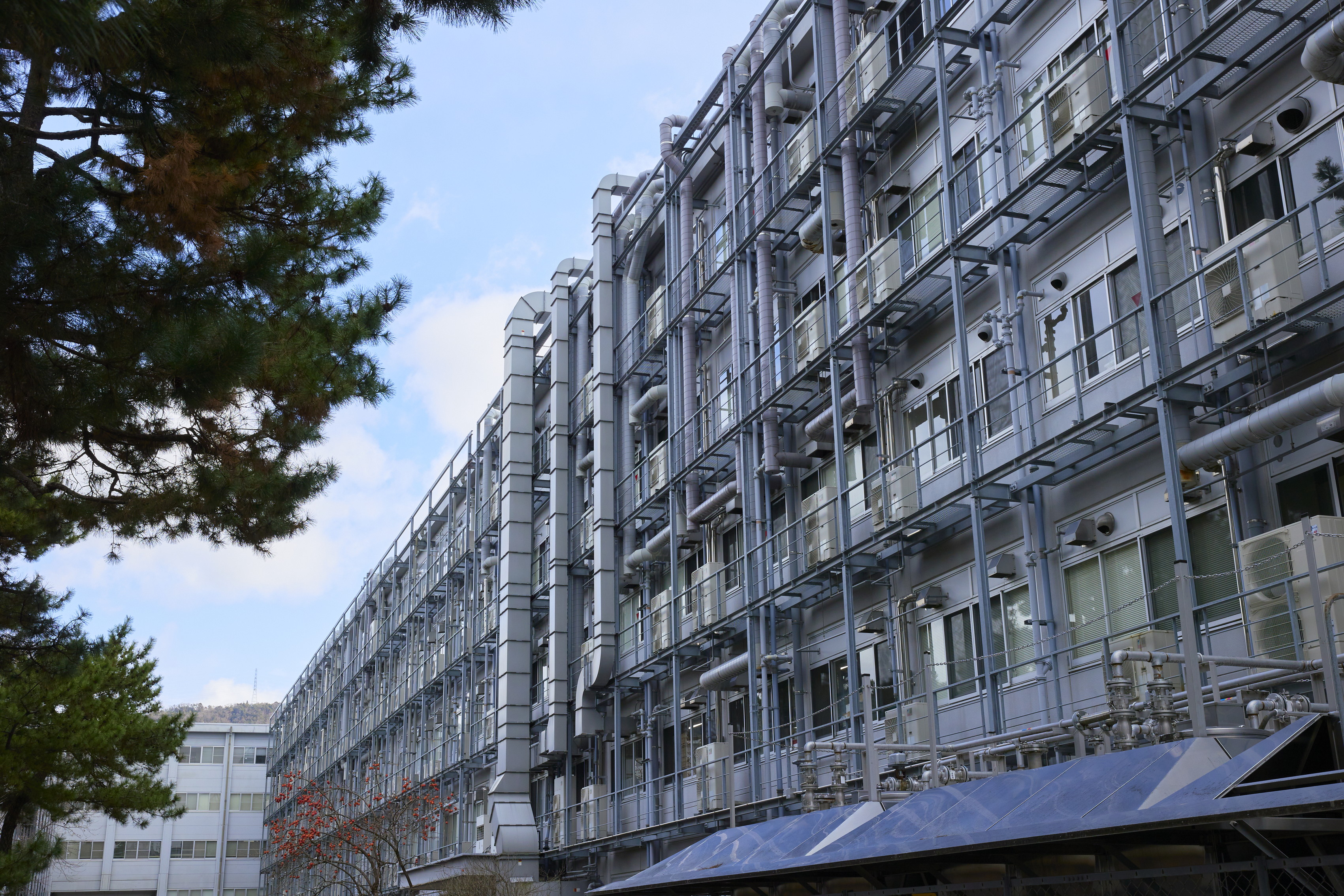 文章を入れてください