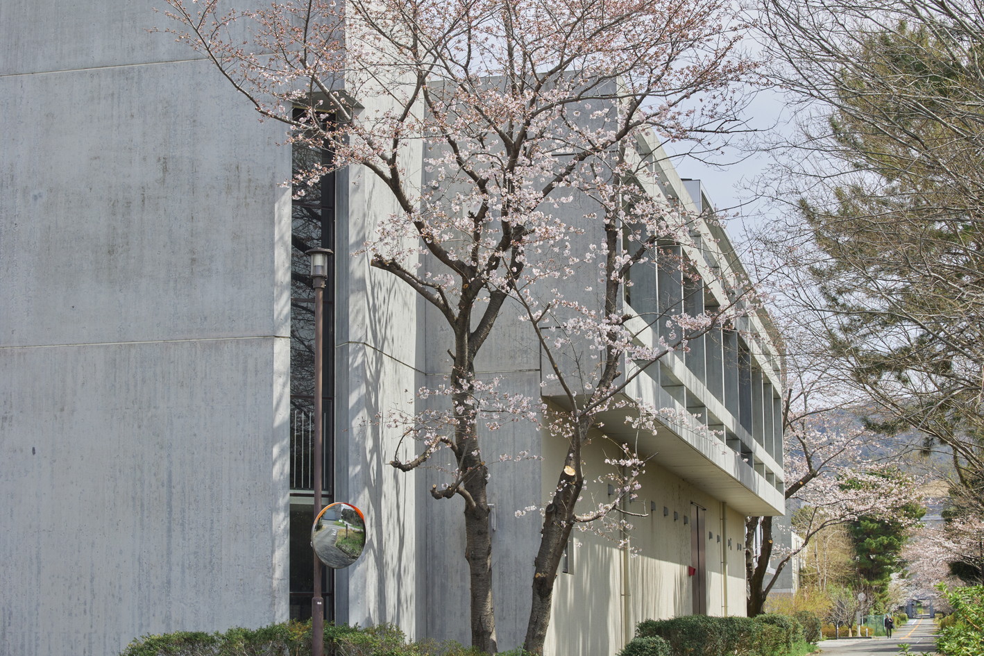 文章を入れてください