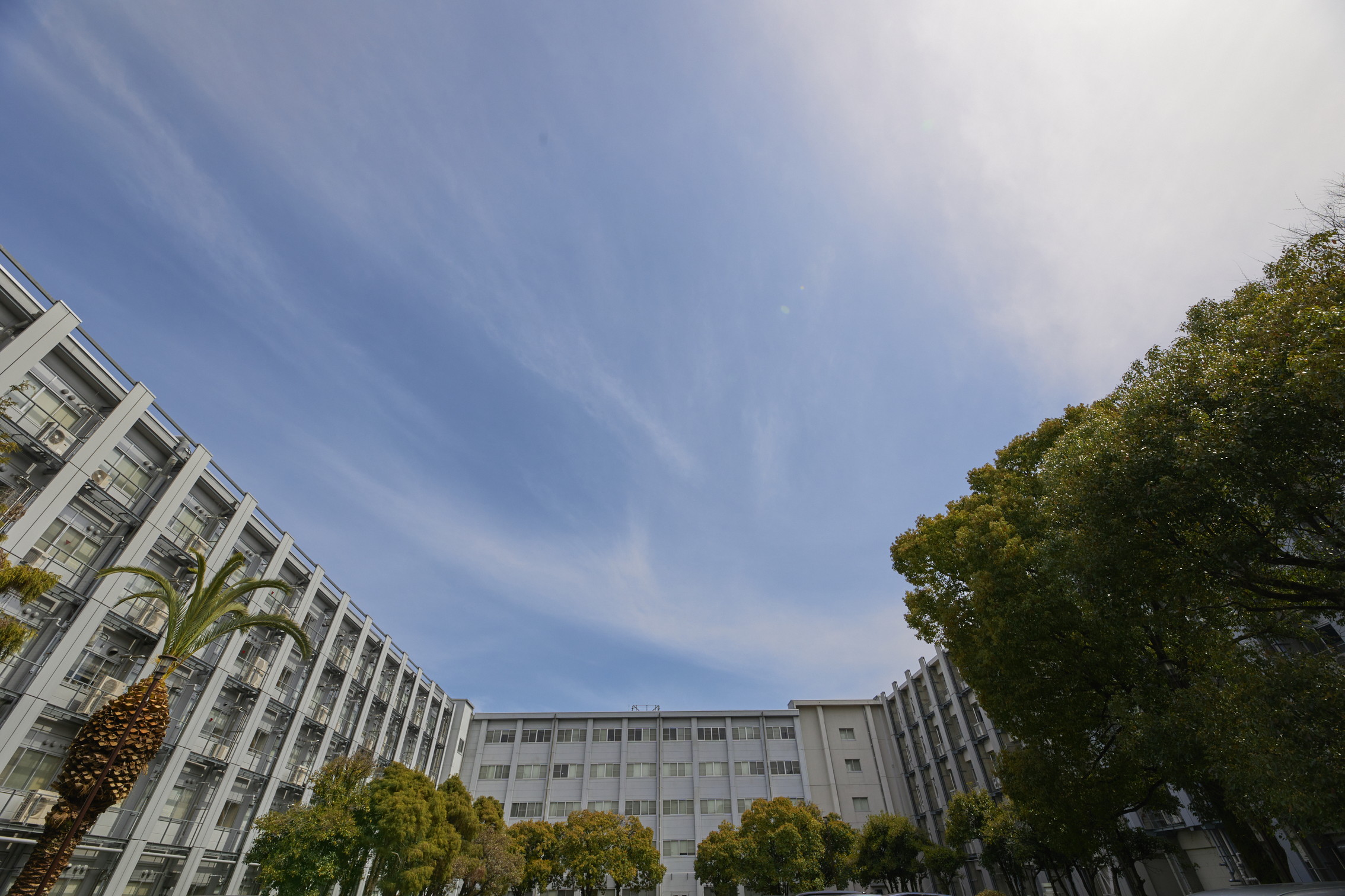 文章を入れてください