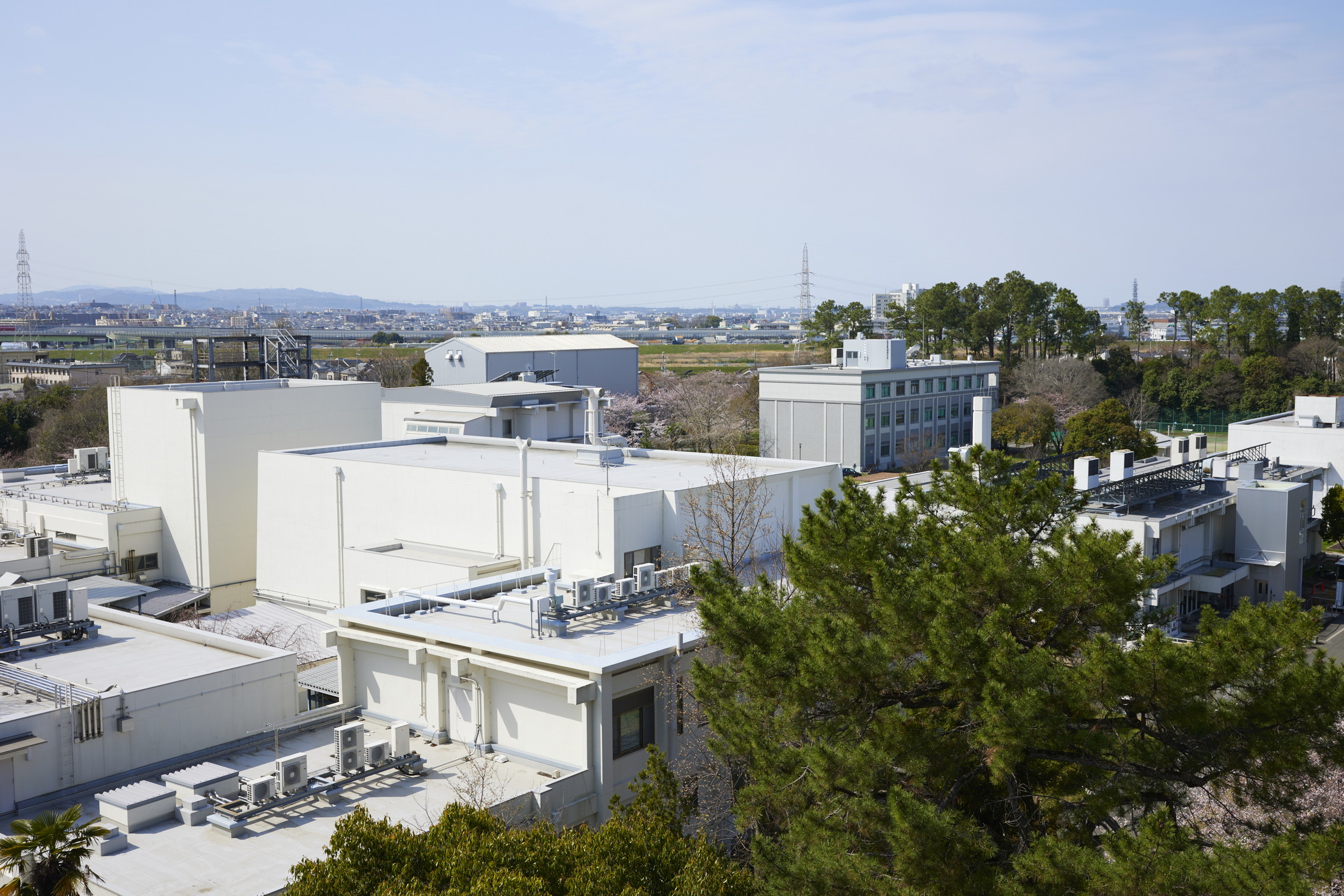 文章を入れてください