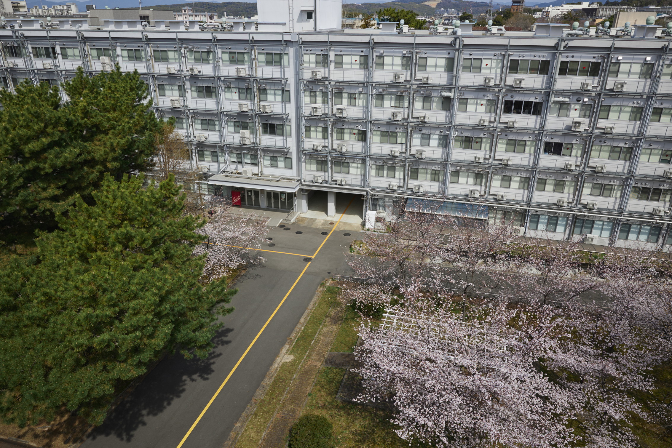 文章を入れてください