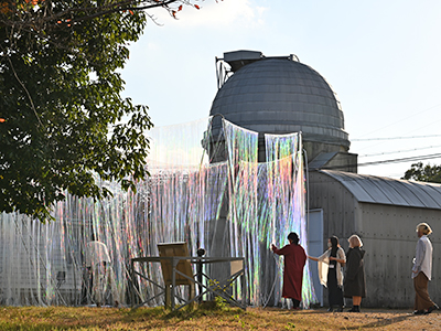 文章を入れてください