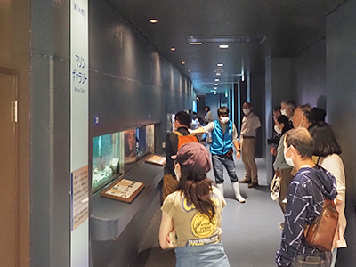 文章を入れてください