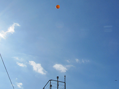 文章を入れてください