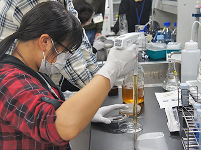 文章を入れてください