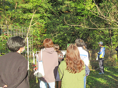 文章を入れてください