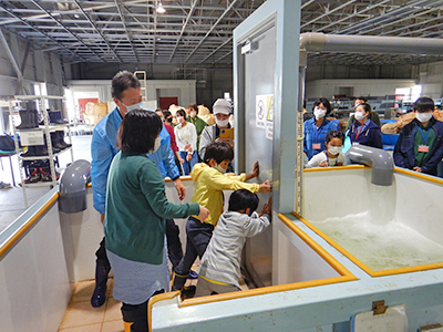 文章を入れてください