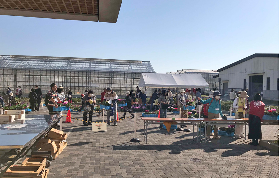 文章を入れてください