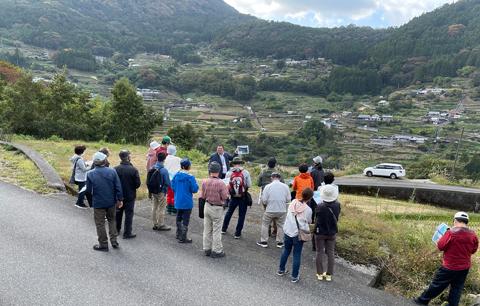 文章を入れてください