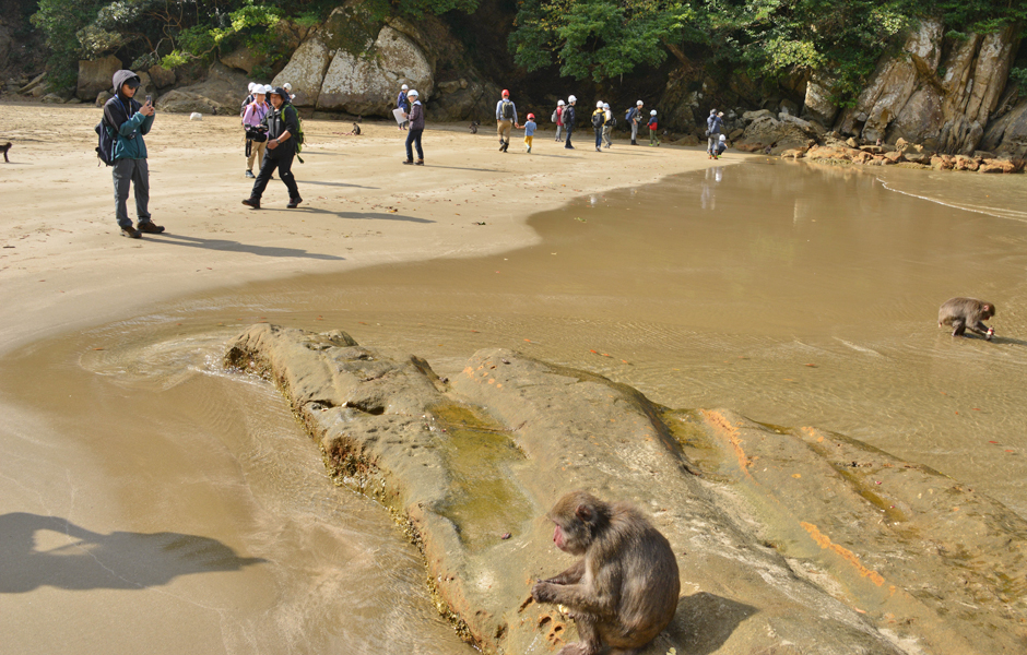 文章を入れてください