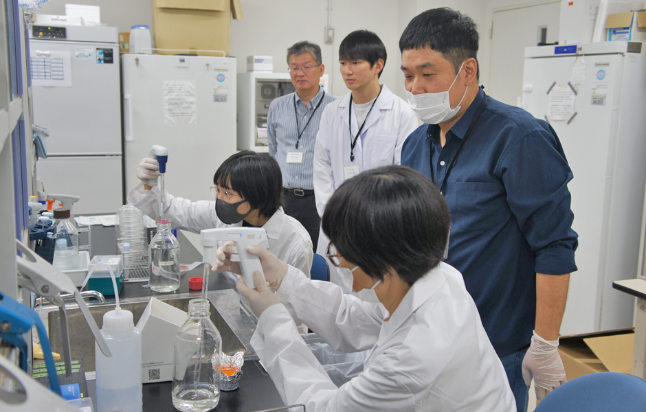 文章を入れてください