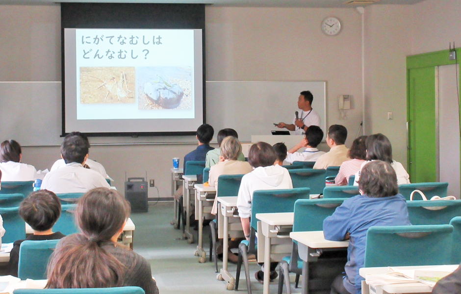 文章を入れてください