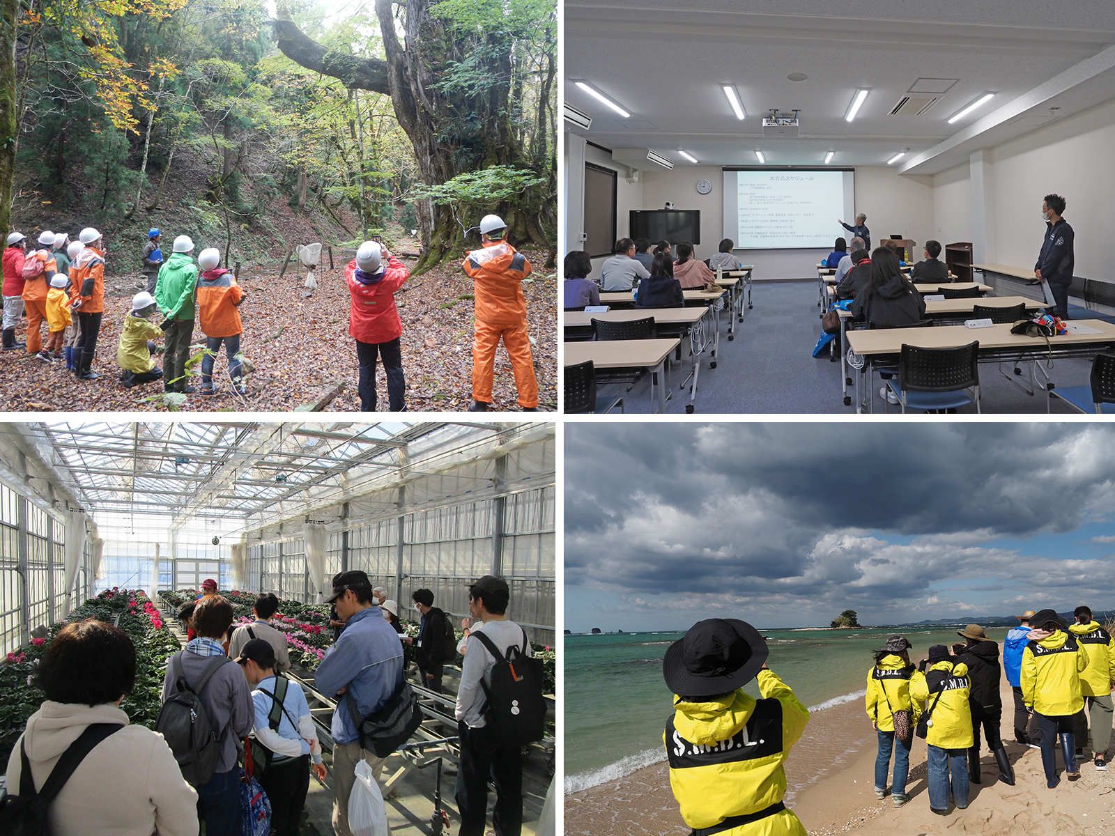 文章を入れてください