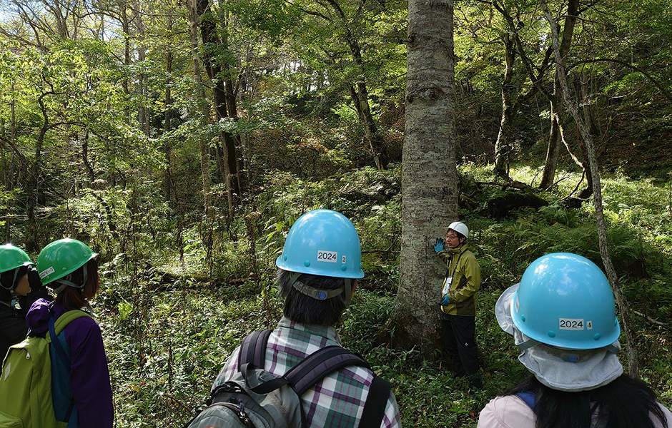 文章を入れてください