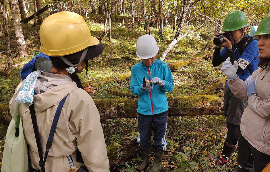 文章を入れてください