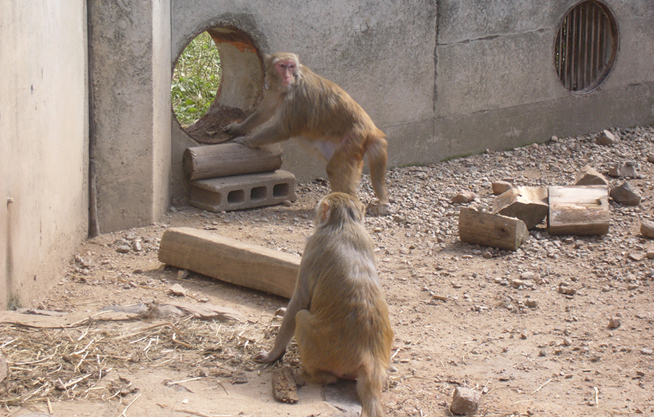 文章を入れてください